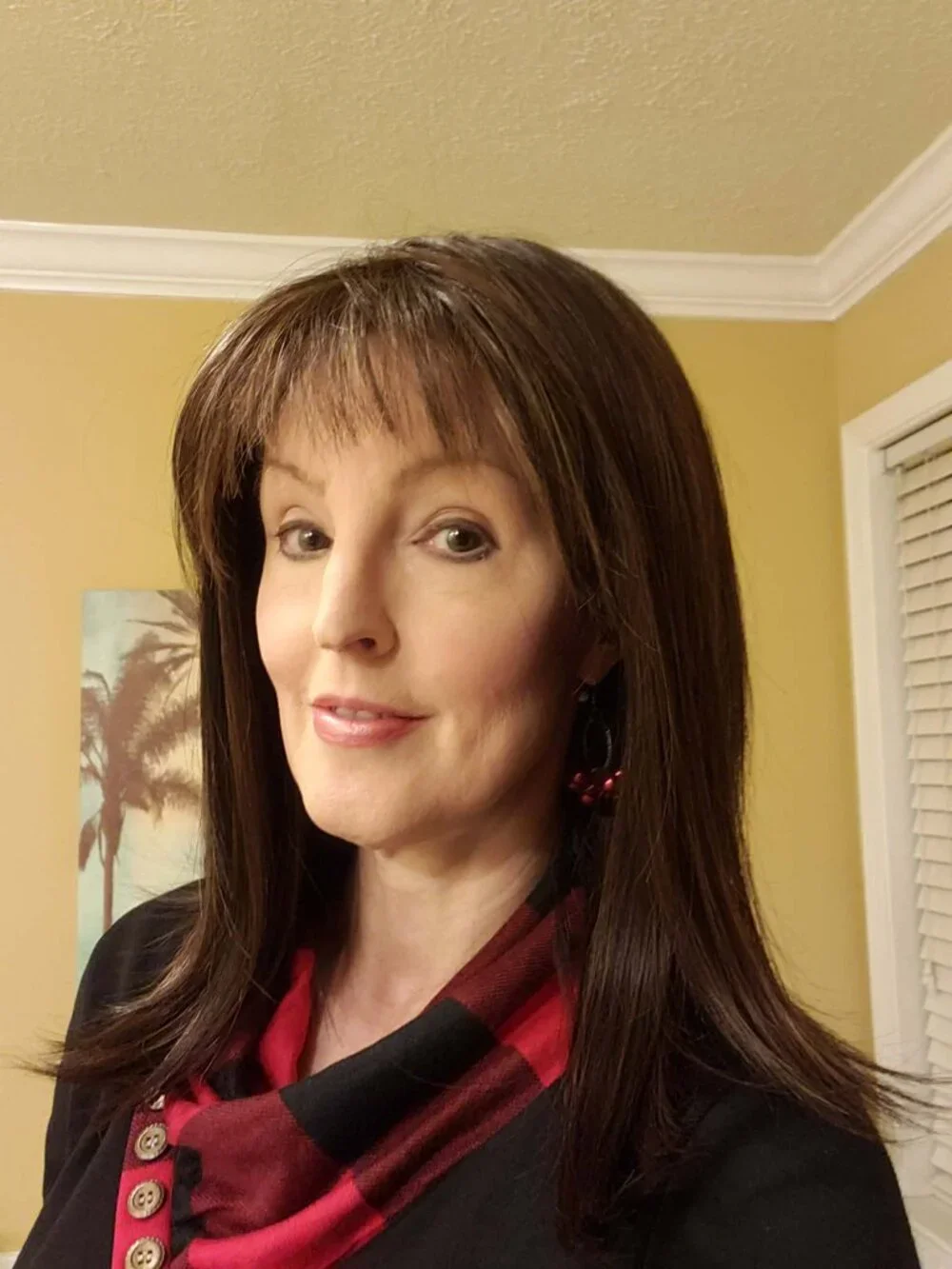 NORIKO SEVILLE Synthetic Wig w/ bangs trimmed - Chocolate Swirl - EUC